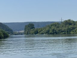 Mainschwimmen Juni 2026